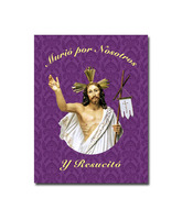 Colgadura cofrade de Semana Santa de la Resurrección de Cristo
