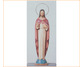 corazon-de-jesus-sgdo-a599.jpg
