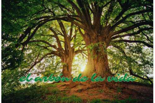 Origen y significado del árbol de la vida. 